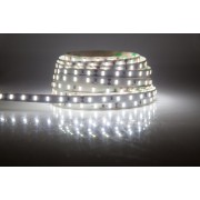 LED strip (5m reel) 150 LED SMD 3528 cold white waterproof IP65
