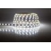 LED strip 150 LED type cold white waterproof IP65