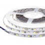 LED strip 300 LED SMD 5050 RGB and warm white HQ